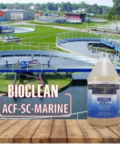 Alternative view of Men vi sinh hiếu khí ACF-SC