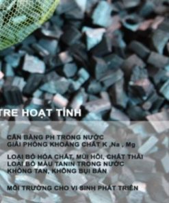 Alternative view of Than hoạt tính lọc khí, xử lý nước thải