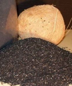 Alternative view of Than hoạt tính Trà Bắc