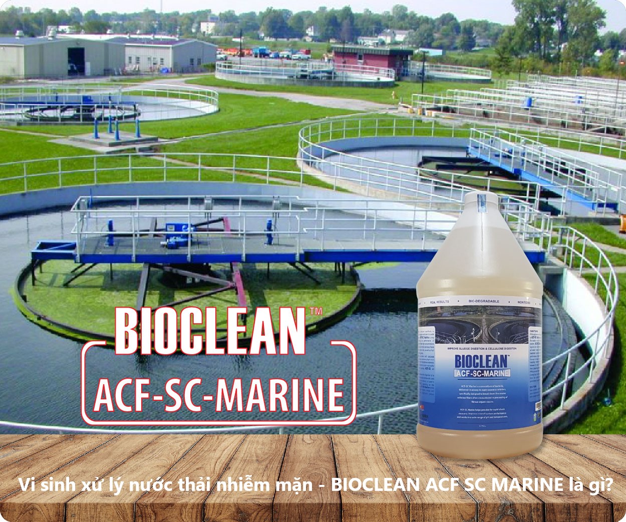 Vi sinh xử lý nước thải độ mặn cao - ACF SC