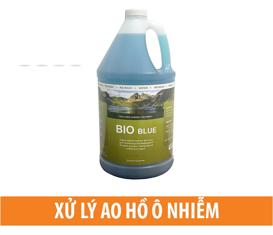 Vi sinh xử lý ô nhiễm ao, hồ
