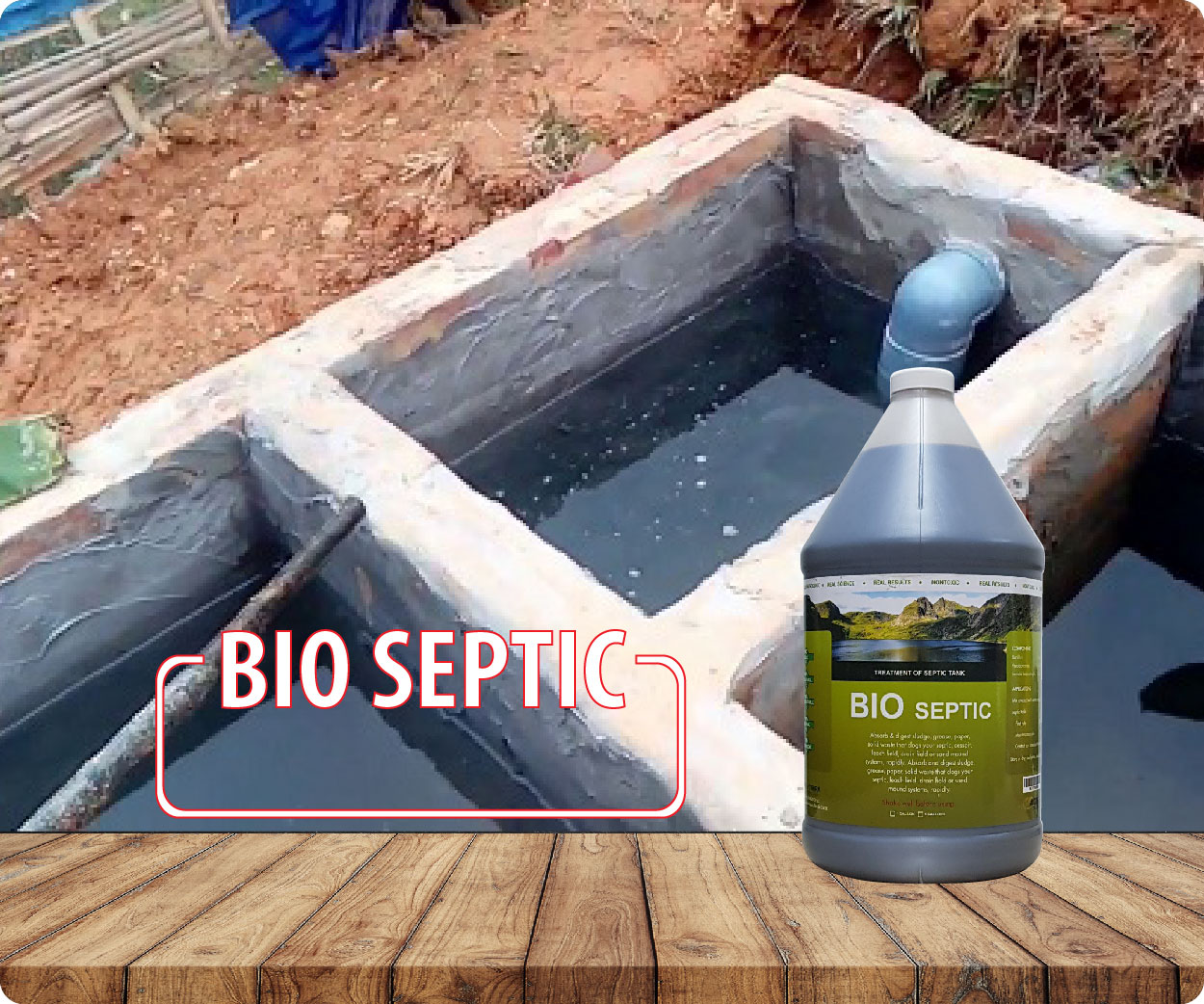 Vi sinh xử lý hầm cầu, bể tự hoại