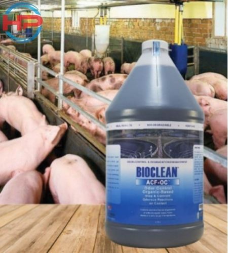 Vi sinh xử lý mùi hôi