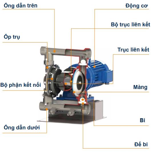 cấu tạo bơm màng điện GODO